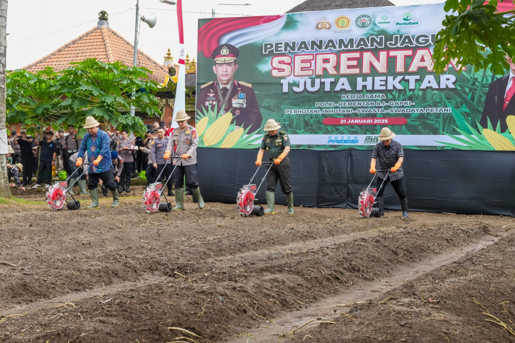 Penanaman Serentak Satu Juta Hektar Bibit Jagung, Bupati Nyoman Giri Prasta Dukung Program Ketahanan Pangan Nasional di Desa Sibanggede